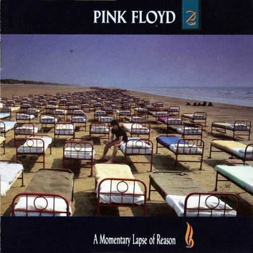 Pink Floyd A+Momentary+Lapse+Of+Reason VINYL