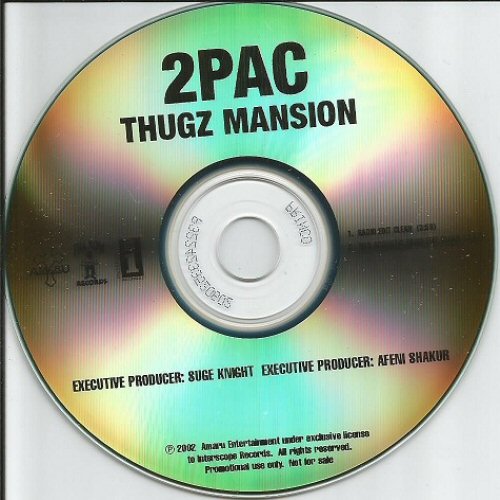 Thugz Mansion